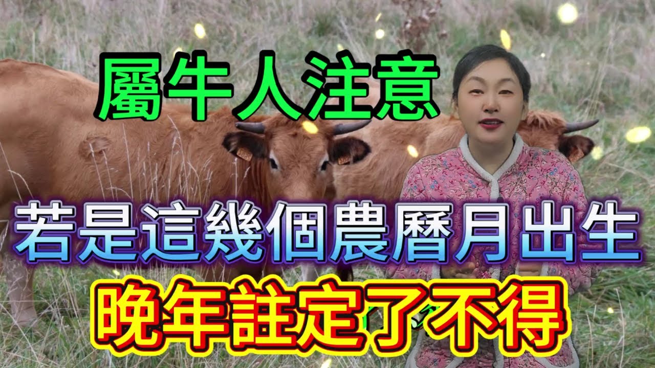 命裏有時終須有，命裏無時莫強求 屬牛人必看！若是這4個農曆月出生，晚年可是 “了不得”！快對照看看你家有嗎？#運勢 #十二属相 #生肖 #星座 #補財庫旺財氣 #財富 #分享