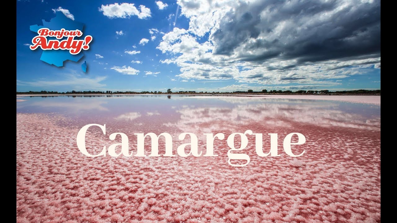Camargue - Vlog #7 Bonjour Andy