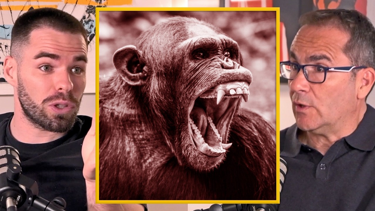 La Guerra Civil de Chimpancés que Duró 4 Años – @MarioDeWonder Analiza la Cruda Violencia Animal