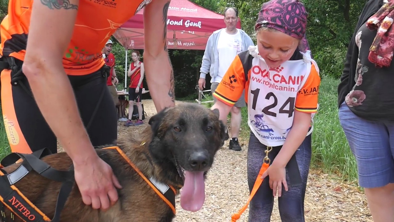 Cani Cross - Mijn Hond Genk