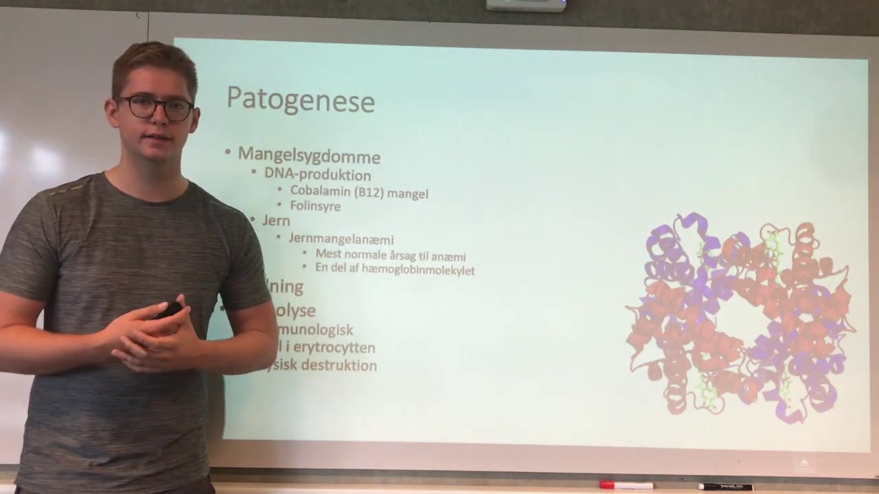 Hæmatologi