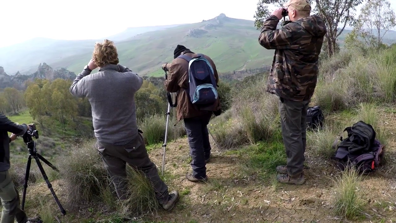 La sorveglianza dei siti di nidificazione operata dal progetto LIFE ConRaSi