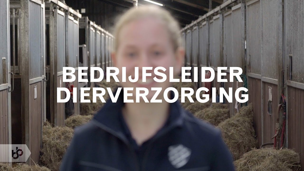 Praktijkleren: Bedrijfsleider dierverzorging