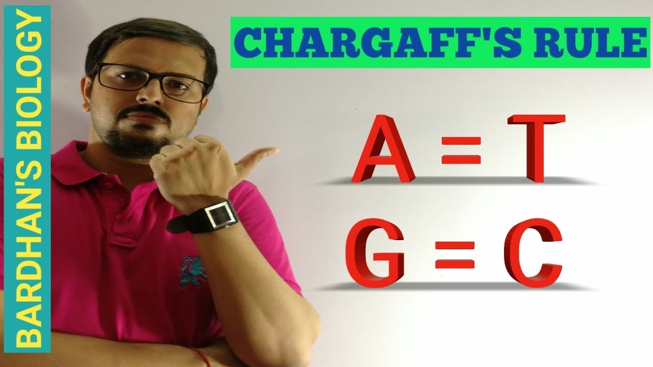 CHARGAFF'S RULE - Erwin Chargaff
