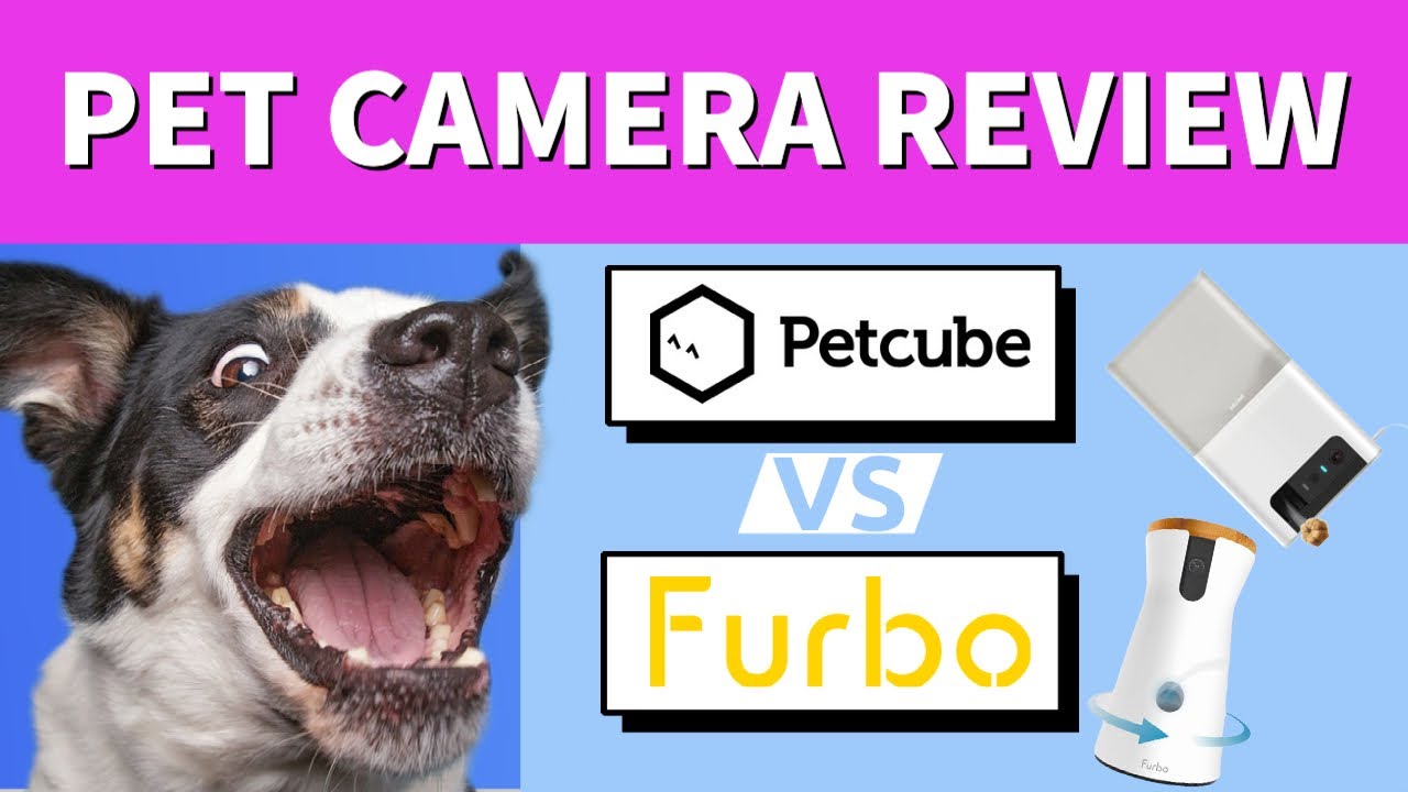 BEST Pet Cameras!! | Petcube Bites 2 & Furbo 360 Smart Camera Review
