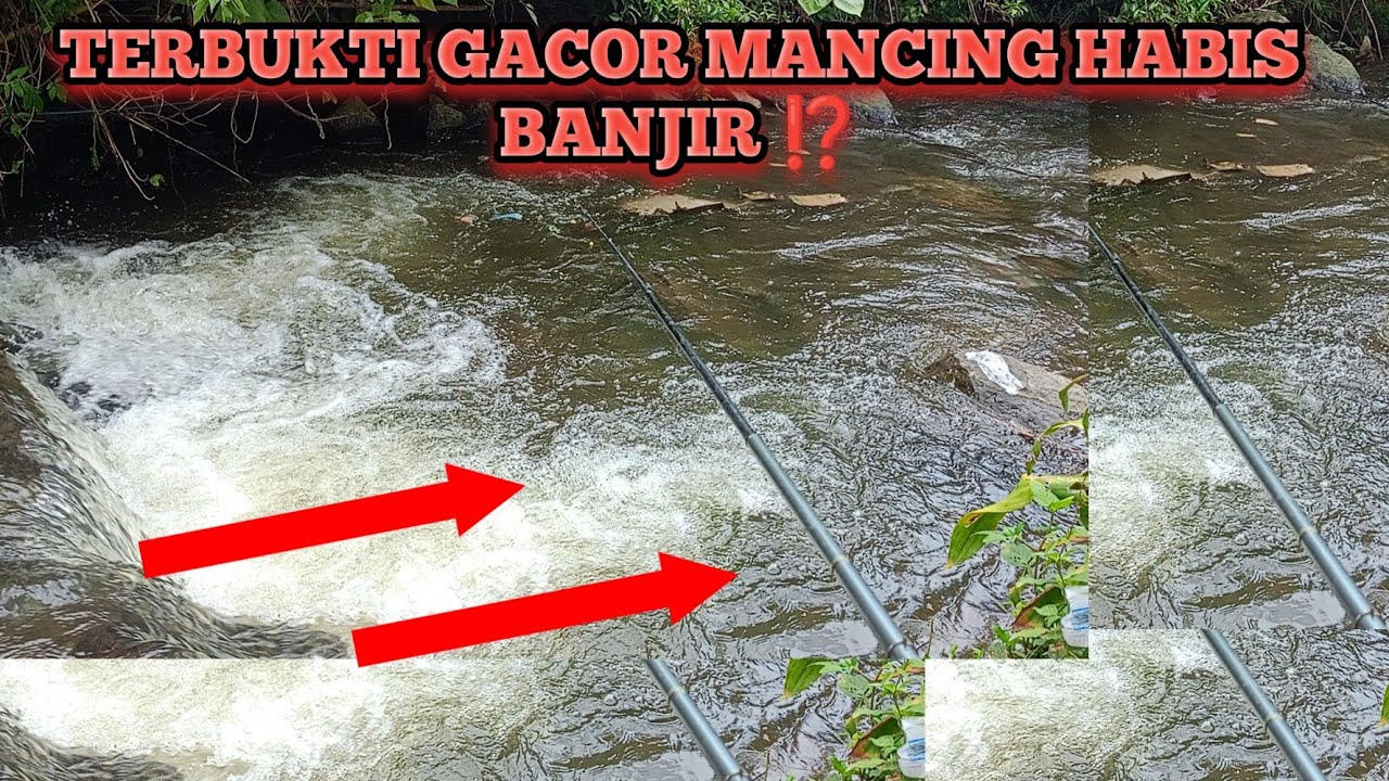 BEKAS BANJIR MEMANG GACOR BANGET IKANNYA ⁉️ SPOT MANCING PALING GACOR DAN NOL NIL 
