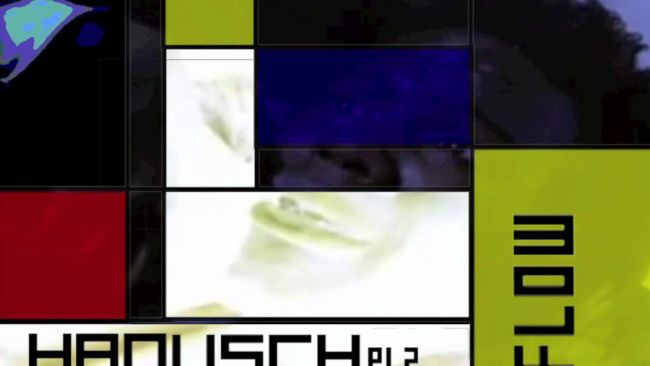 &Uuml;BERDIDR&Uuml;BER HVNVSCHPLVTZFLXWPXSTSWVG