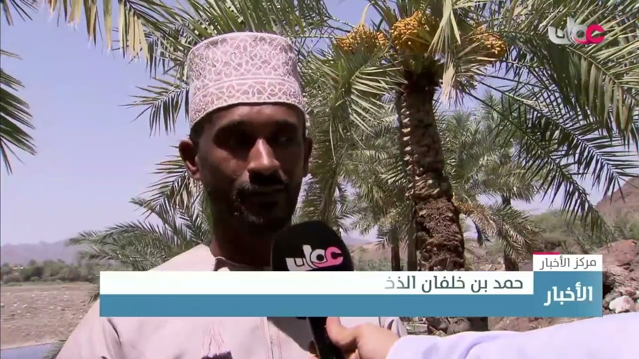 تقرير | بدء تباشير الرطب بولاية دماء والطائيين
