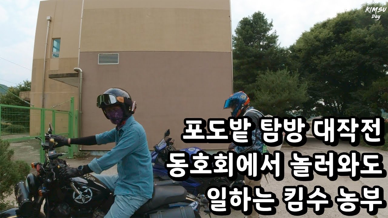 동호회 분들이 놀러와도 일하는 진정한 농부 킴수농장 슬기로운 귀농생활 아퀼라300 슬기로운 라이딩 생활 r3 포도밭 헬멧리뷰 f70 홍진 hjc 아퀼라125