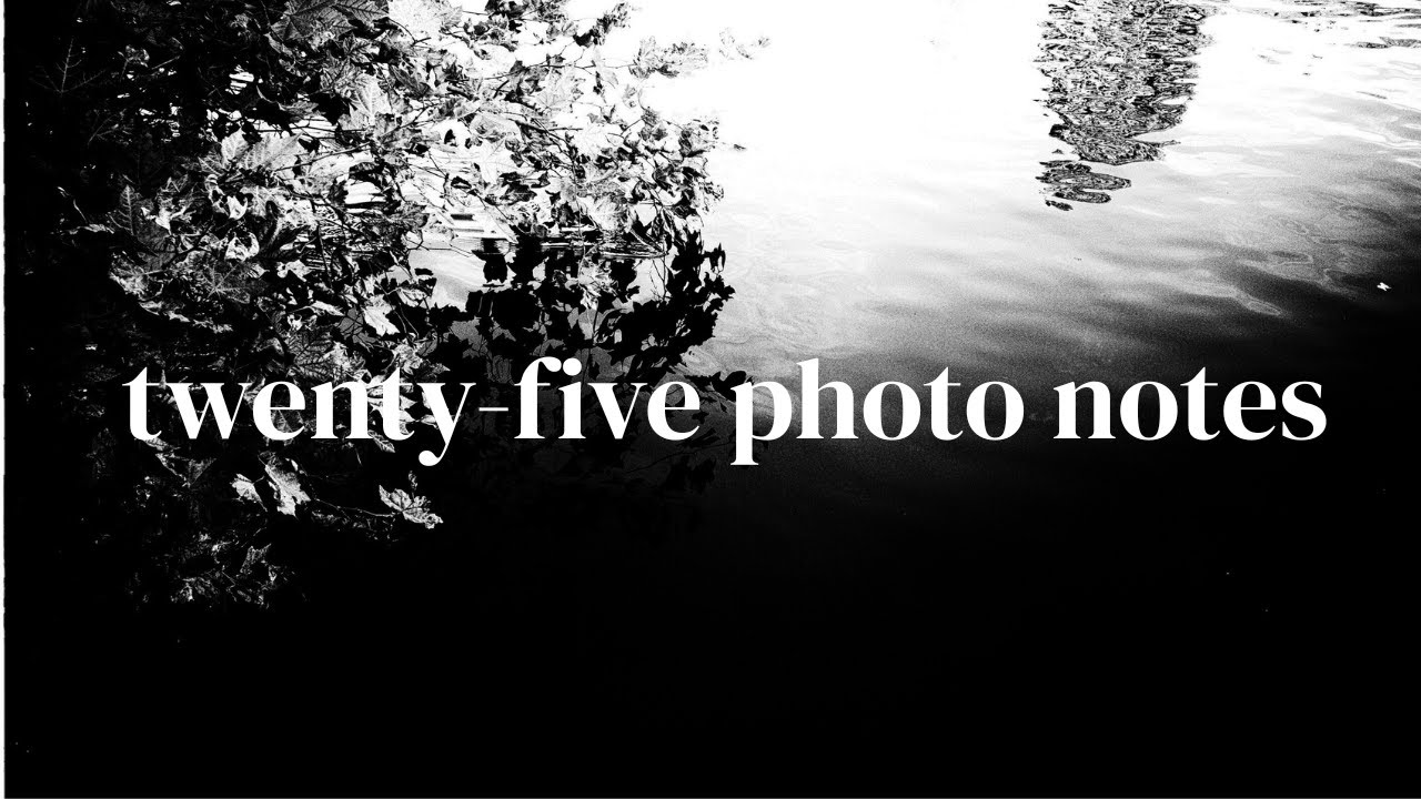 25 Photographs I Took Earlier Today