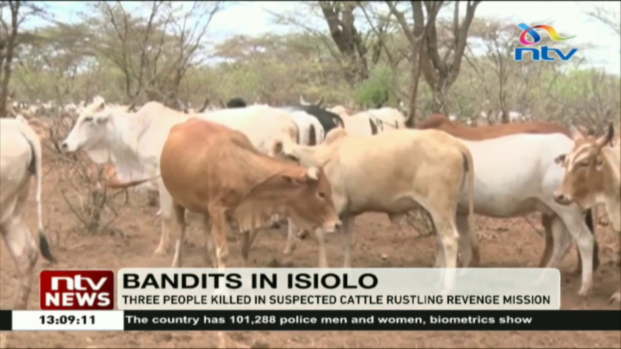 Three people killed in Samburu in suspected cattle rustling revenge mission