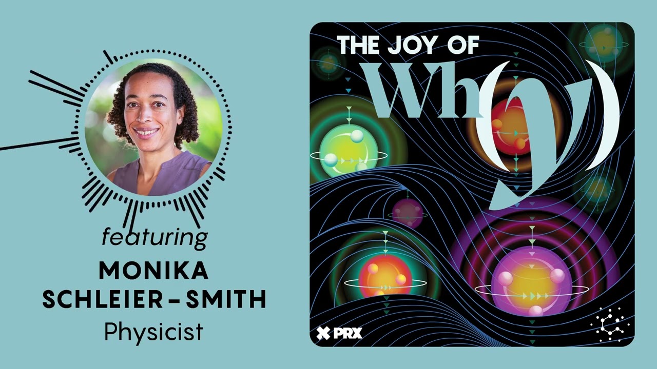 Can Quantum Gravity Be Created in the Lab? | PODCAST: The Joy of Why