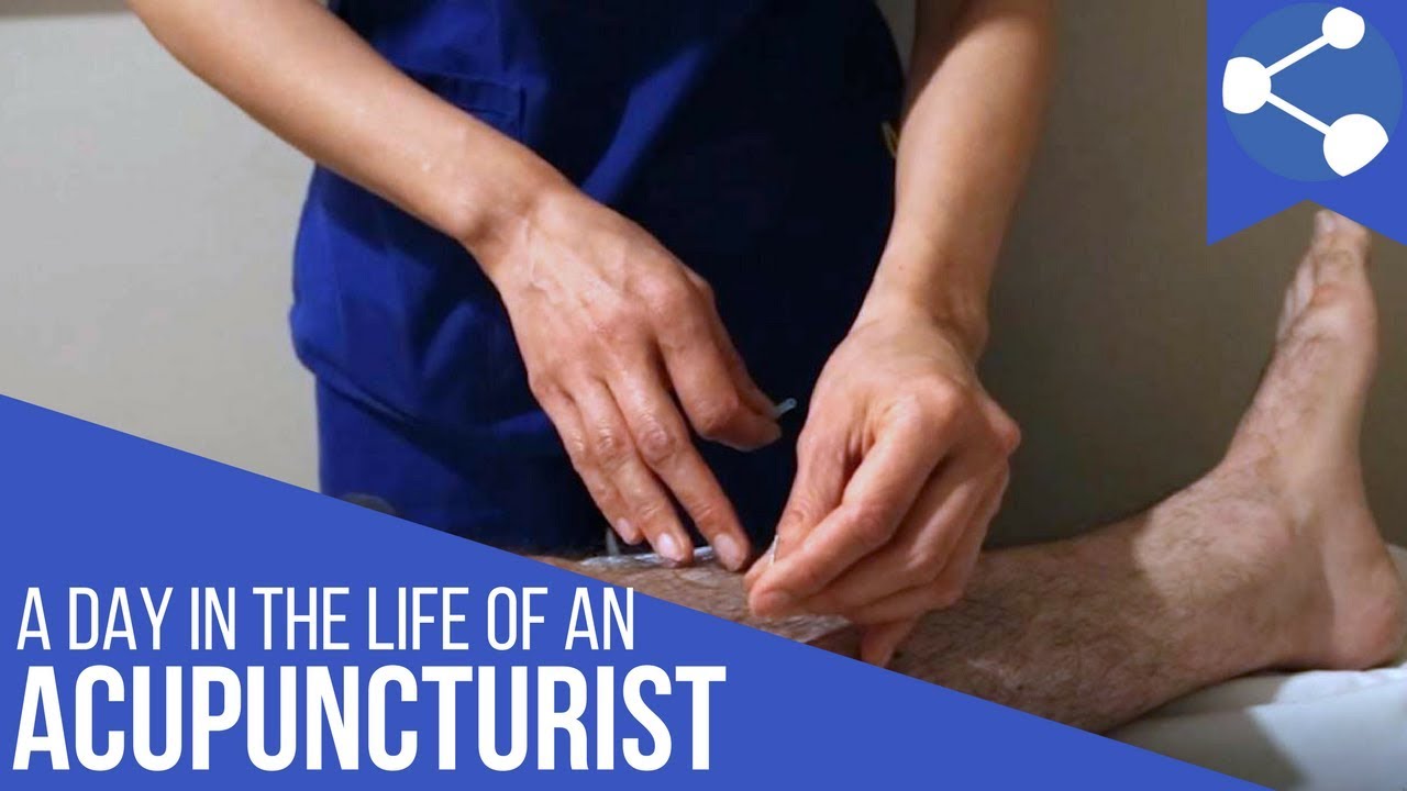 A Day in the Life of an Acupuncturist with Eileen Seto
