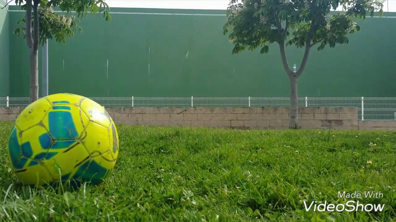 Mi punter&iacute;a