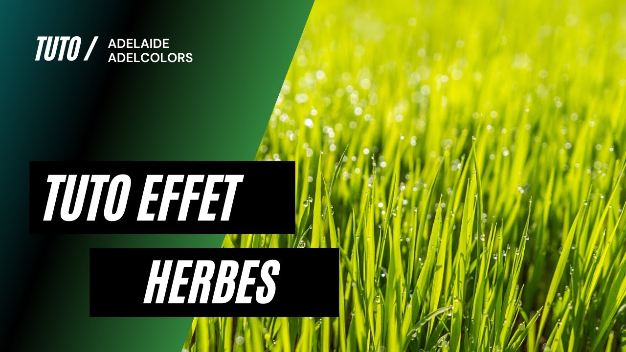 tuto effet herbes a l'aquarelle, feutres et artistro