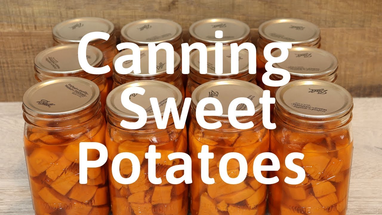 Canning Sweet Potatoes | Fermented Homestead