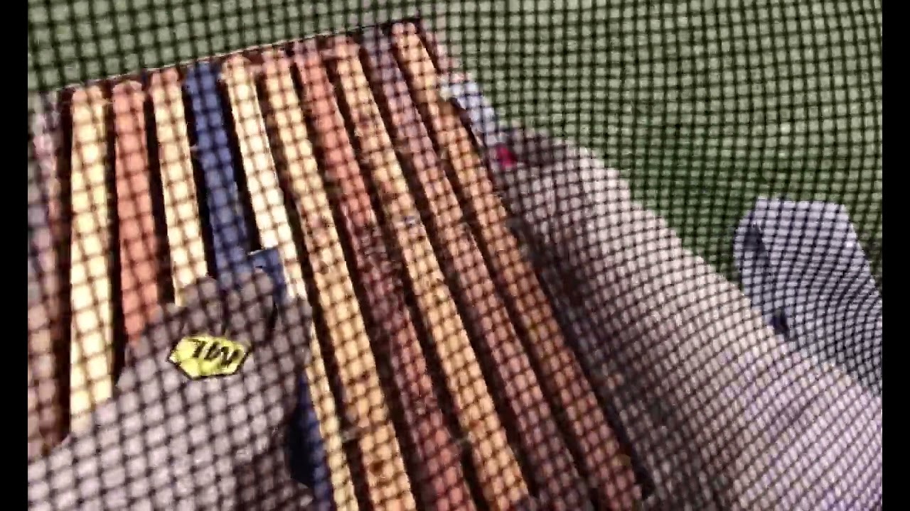 POV Beekeeping 👓 | Elm Grove Apiary | Last Hive Cleanup & SHB Control 🐝