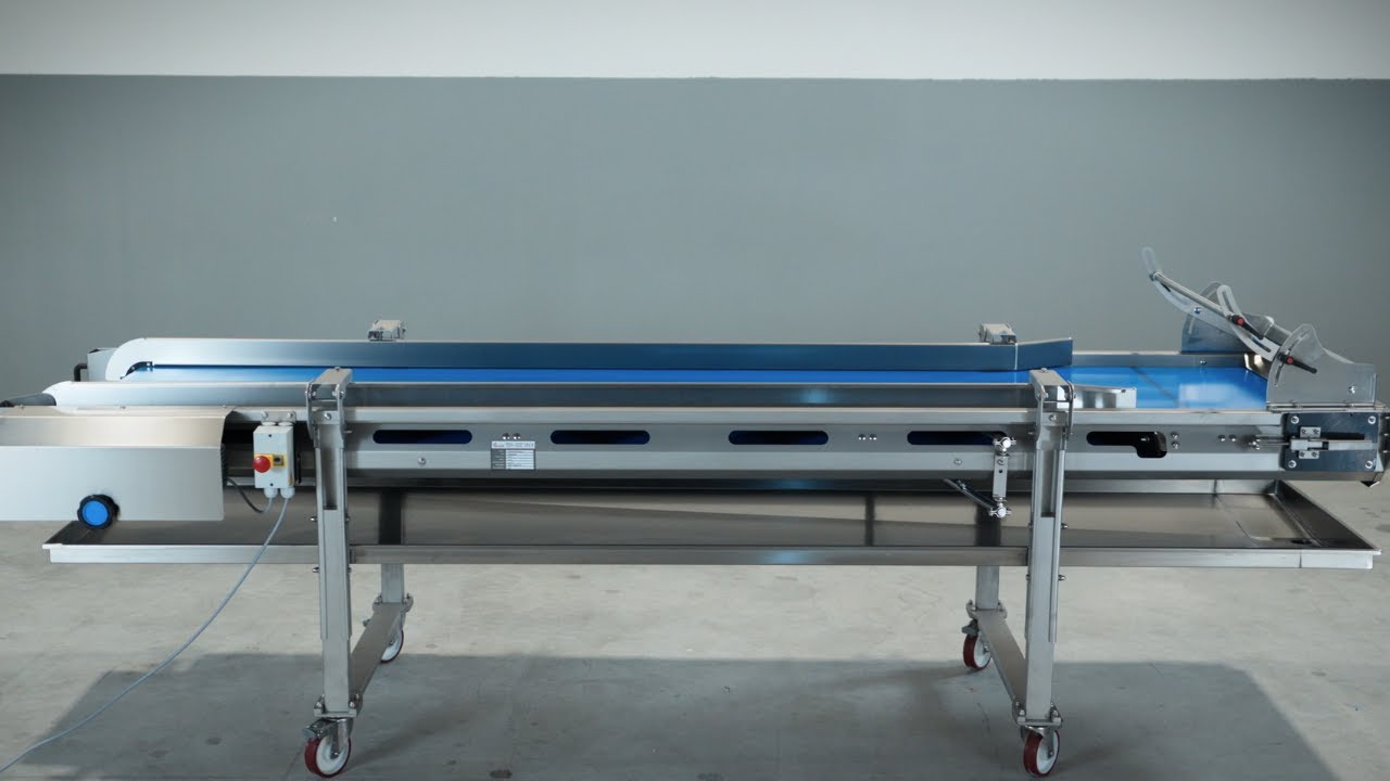 SRAML BT Sorting Belt Conveyor
