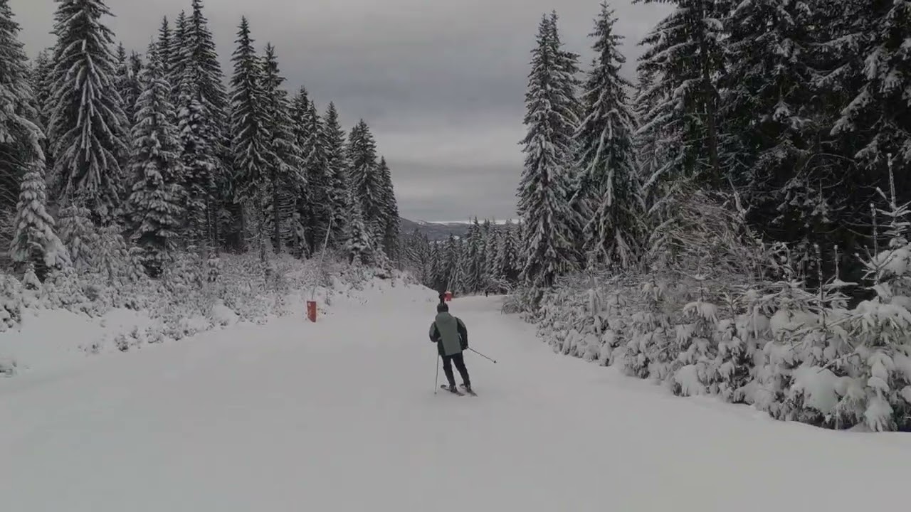 По Стойка без водач 13.01.2026 г.