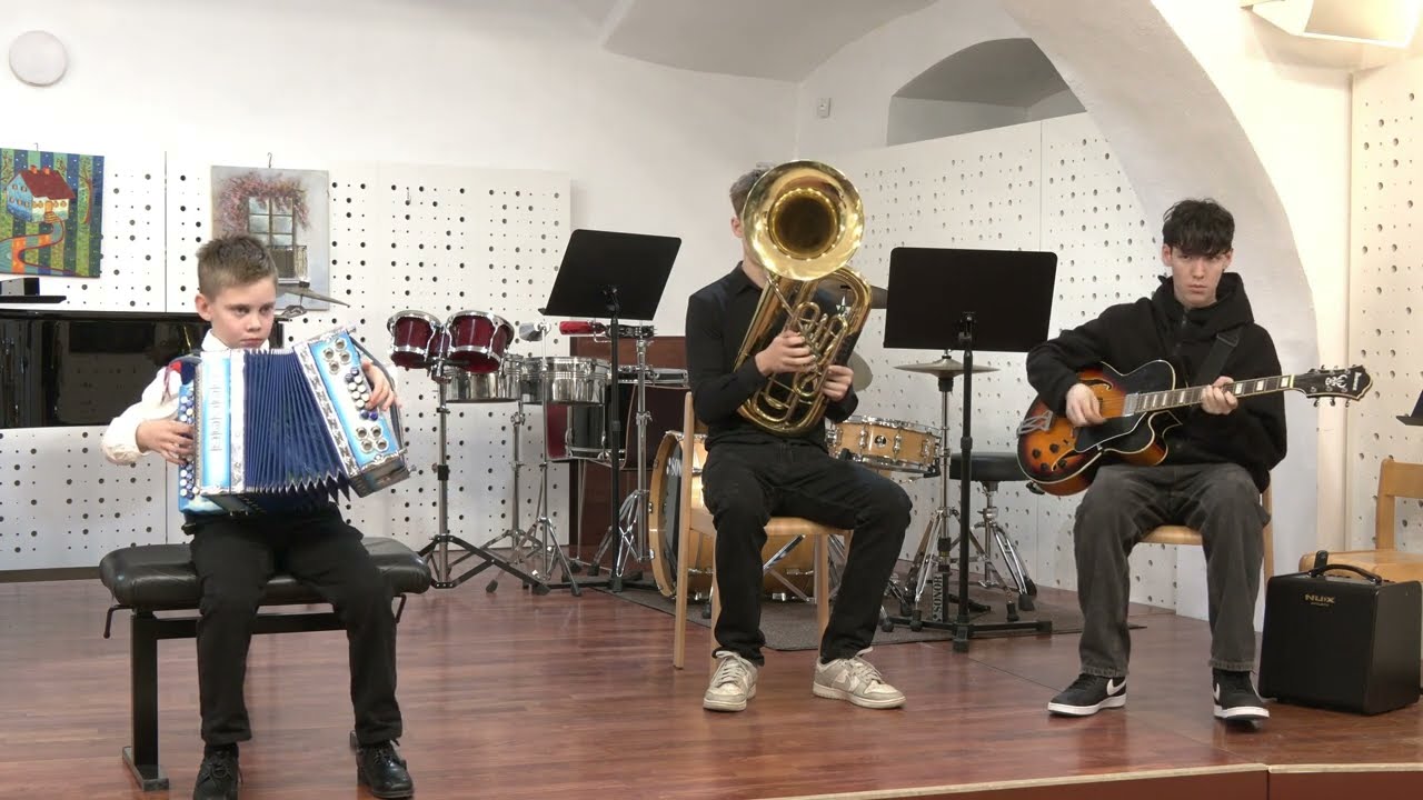 Koncert učencev  21. 1. 2026 , Glasbena šola Ormož