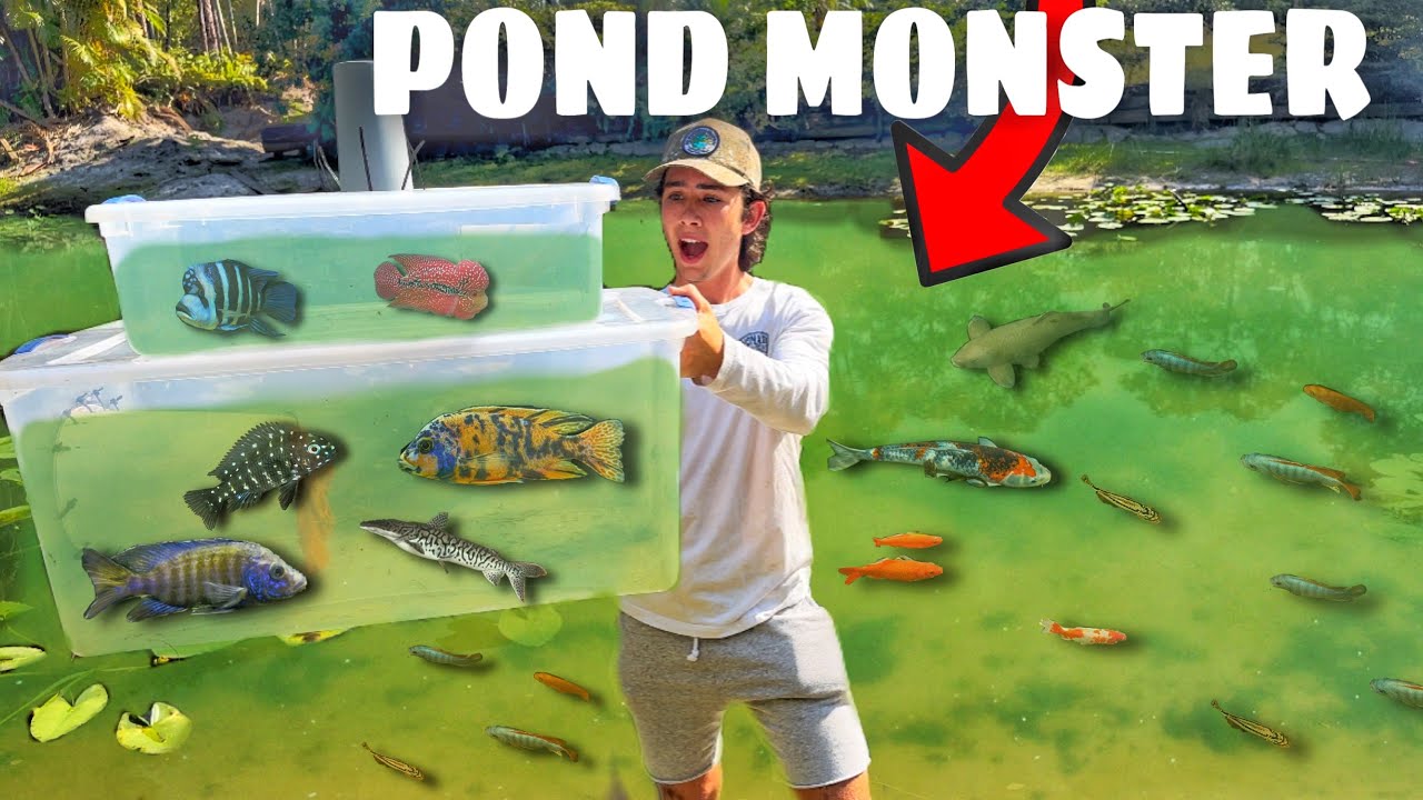 Trapping EXOTIC FISH For My New AQUARIUM