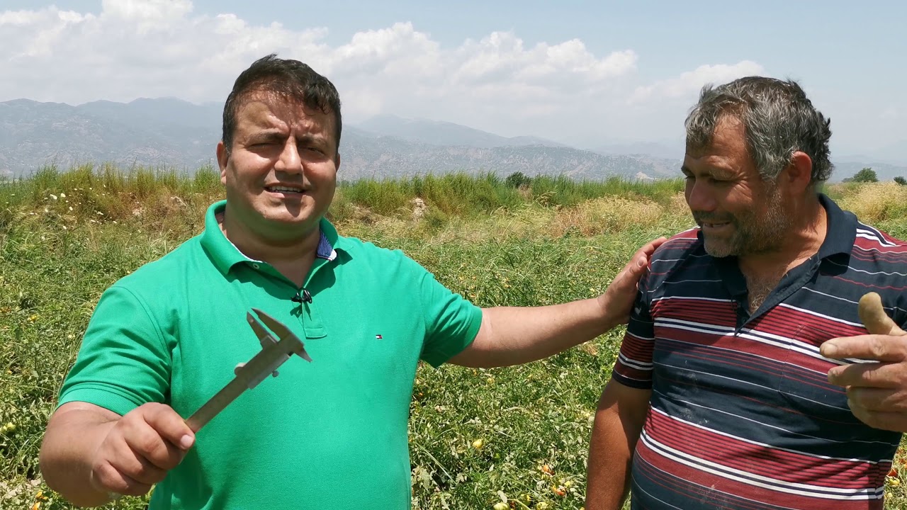 Rekor Gelişim Toprak Düzenleyici  Nasıl Atılır Tarla Bitkilerinde - Nasıl Uygulanır