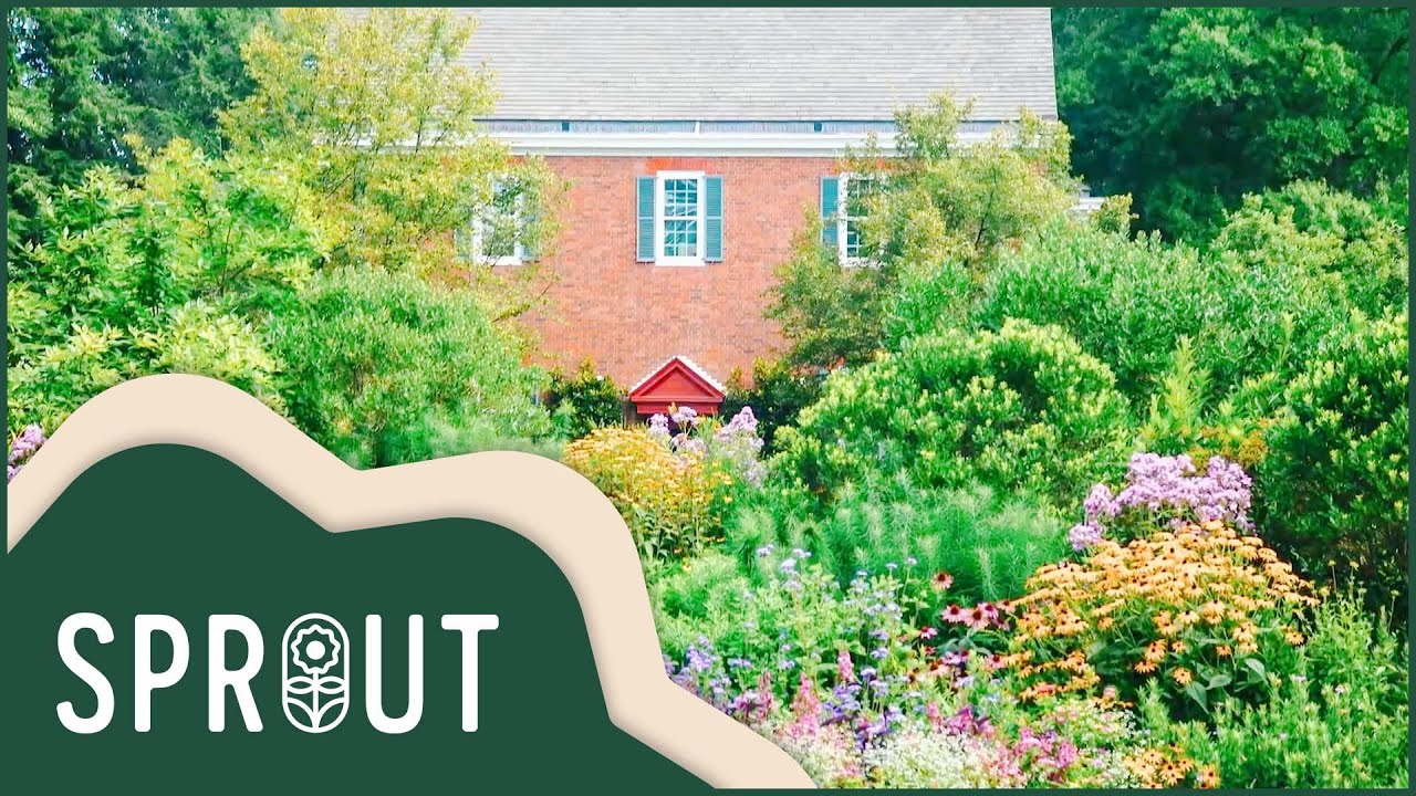 Sprout - Gardening Channel: Tour Mt Cuba Center Botanical Garden