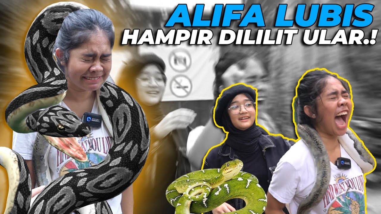 NEKAD..! ALIFA LUBIS GENDONG ULAR RAKSASA DEHAKIMS..!! HAMPIR DILILIT..!!