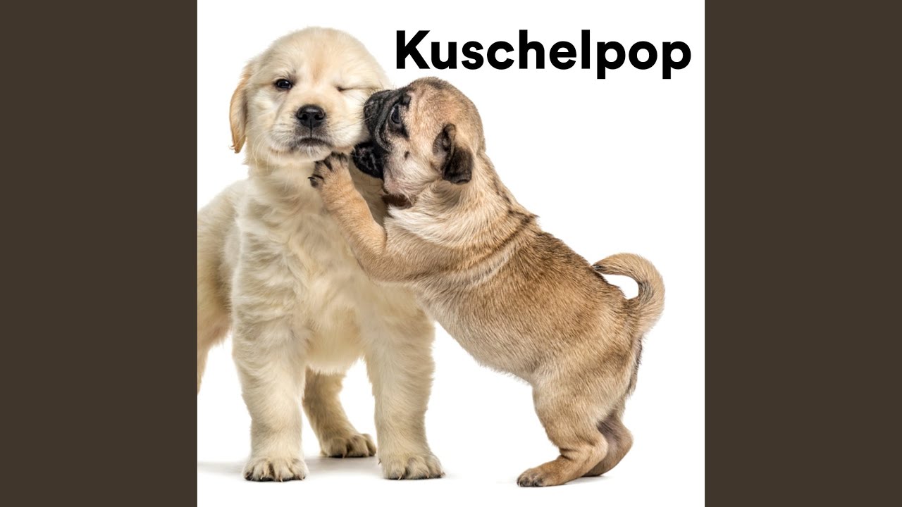 Amoi seg' ma uns wieder (Radio Version)