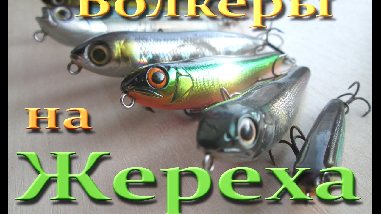 Волкеры на Жереха . Обзор
