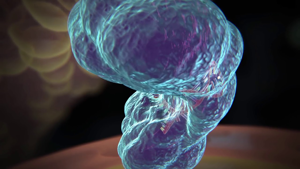Методика редактирования генов CRISPR/CAS9. Базовые вещи.