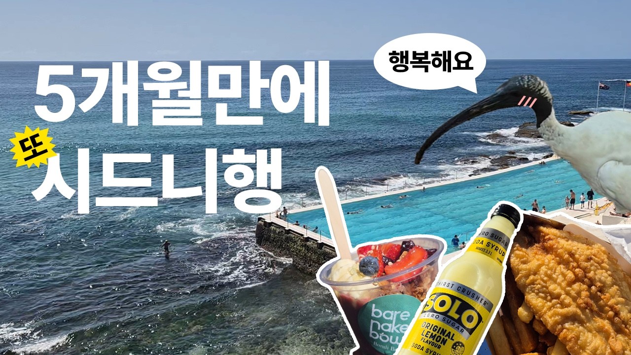 겨울에 호주를 가야하는 이유 | 1월 말 시드니 여행 브이로그