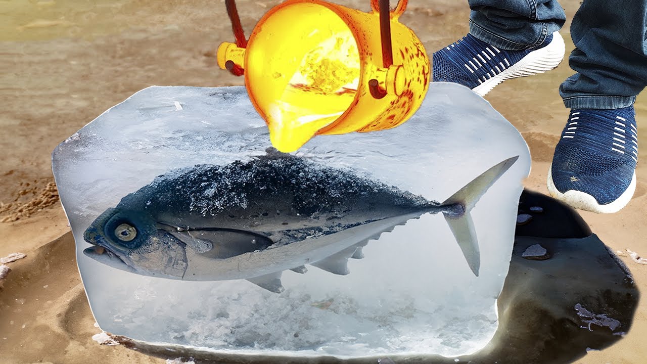 1000 Year Old Frozen Fish vs Lava