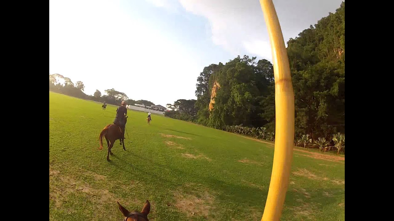 BP POLO CLUB