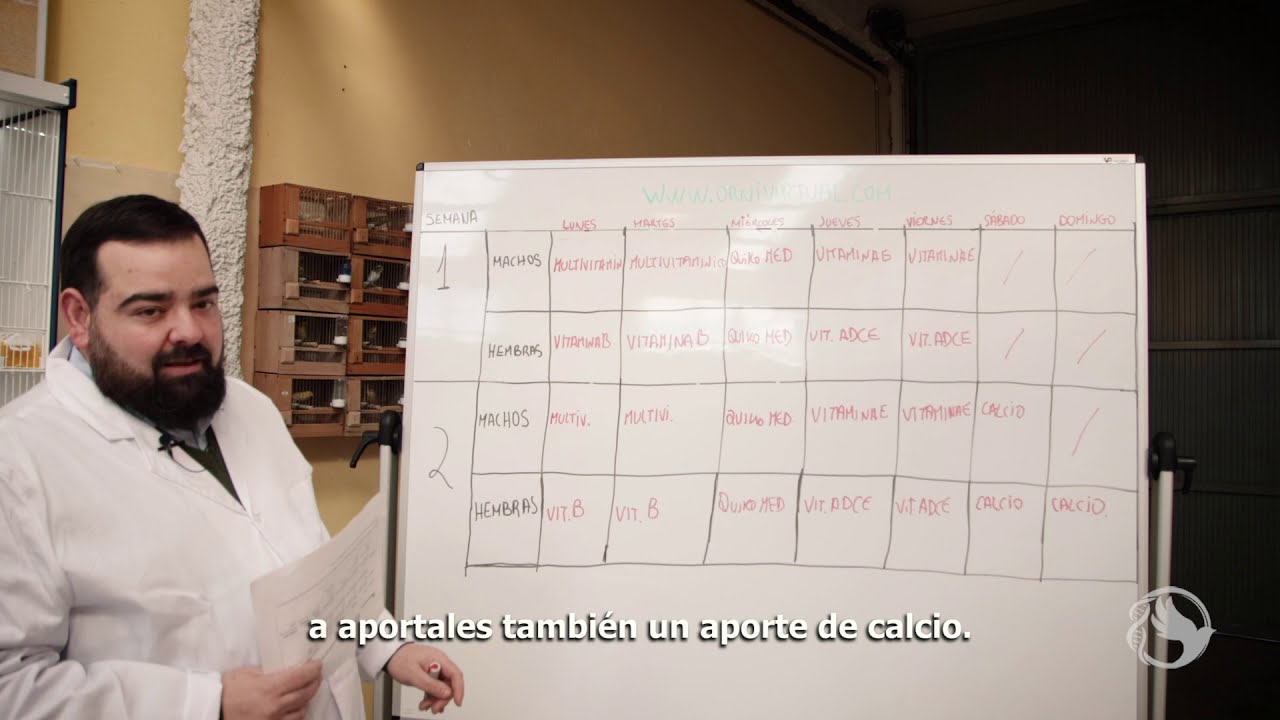 Ornigroup - Protocolo para la cr&iacute;a