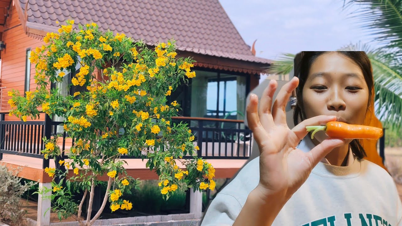 รจนาอยู่โคกหนองนา ไปรับนักเรียน(อ๋อมแอ๋ม&อั่งเปา)วันหยุดกลับบ้าน 22/02/69