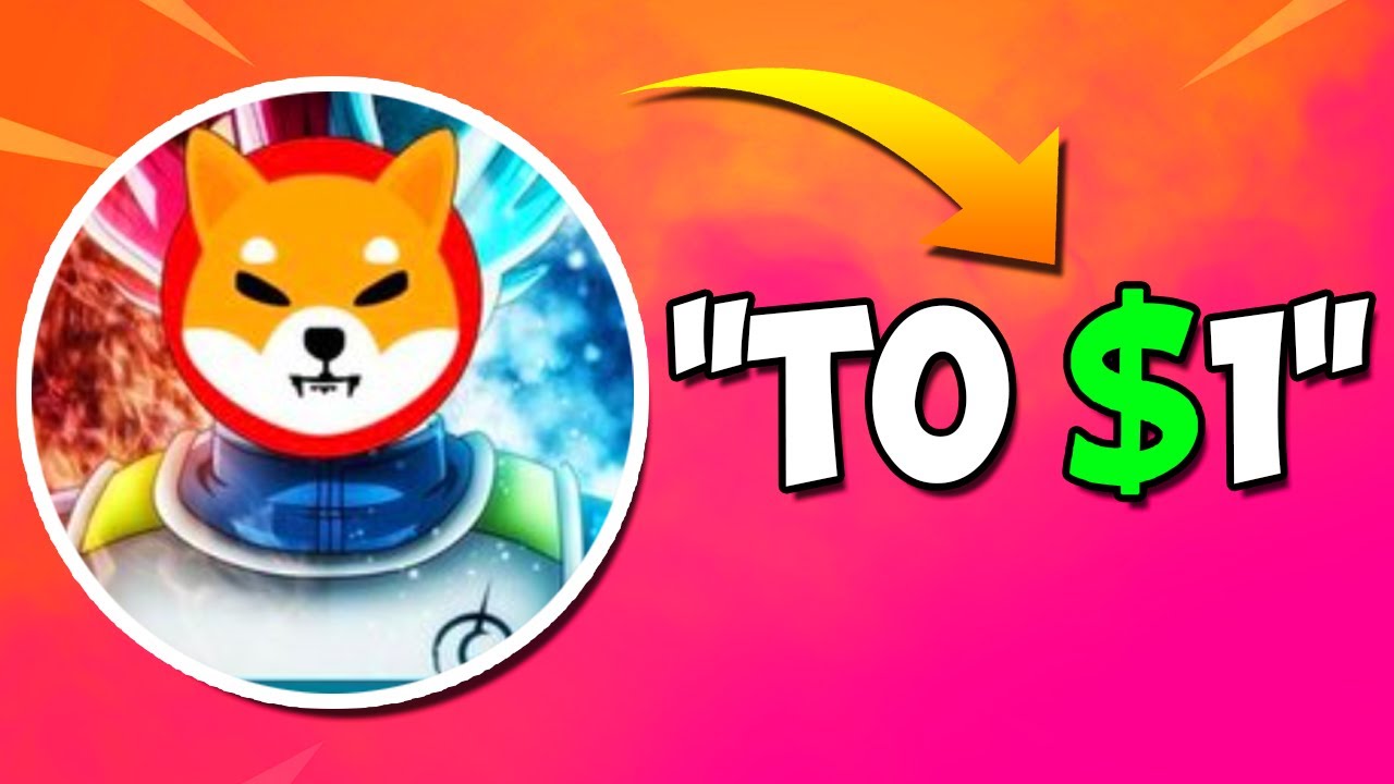 SHIBA INU DEVELOPER HAS A SECRET MESSAGE TO SHIB HOLDERS - EXPLAINED