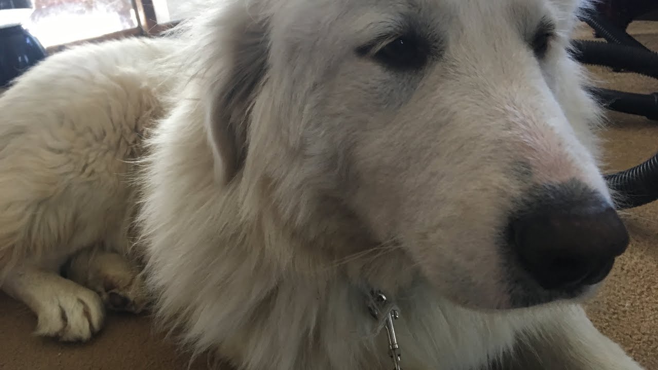 Neural rewiring for ocd in anorexia recovery