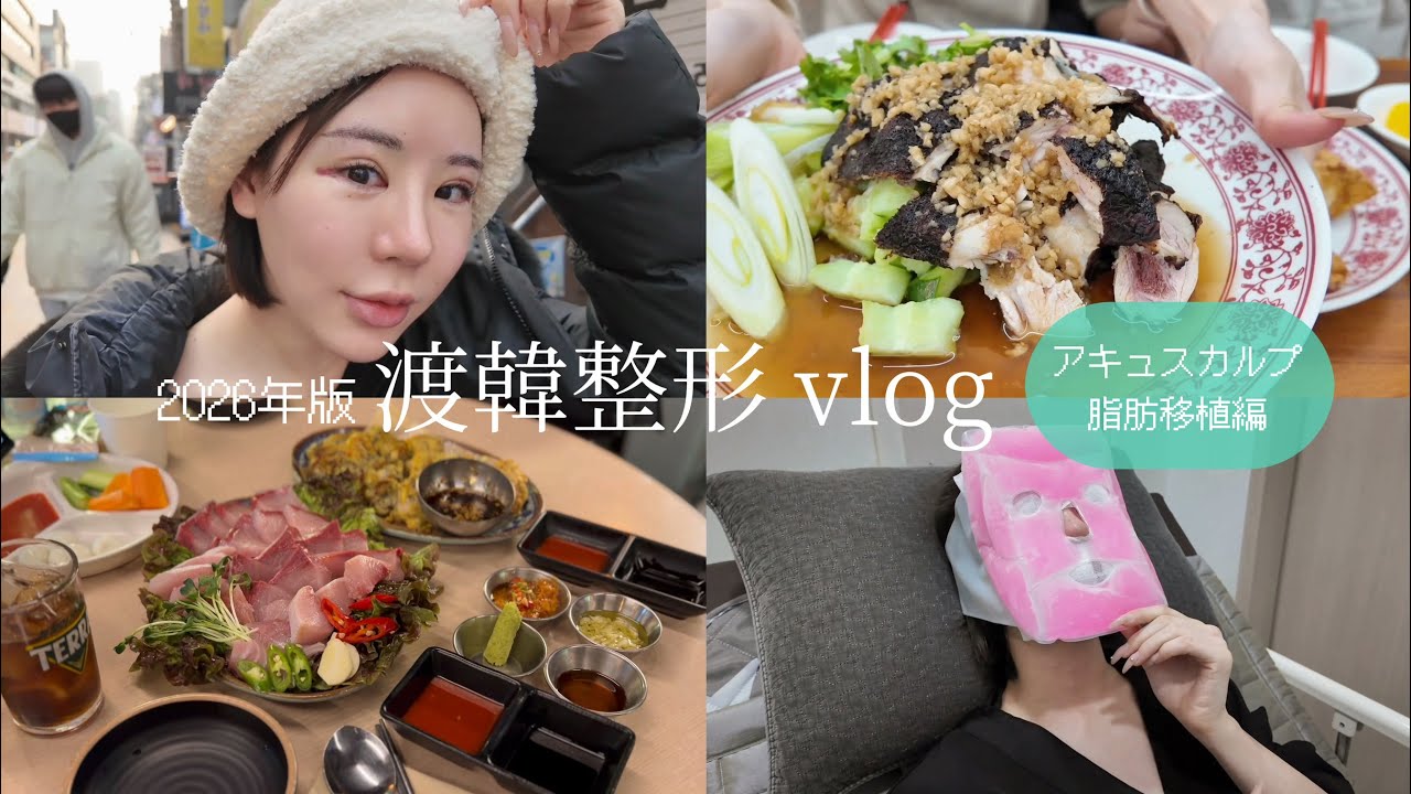 【けせら】2026年版 / 渡韓整形Vlog　アキュースカルプ 脂肪移植