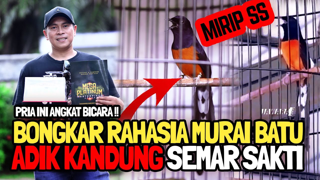 PRIA INI ANGKAT BICARA❗MURAI BATU ADIK KANDUNG SEMAR SAKTI || BONGKAR RAHASIA KEBO IWA😱🔴