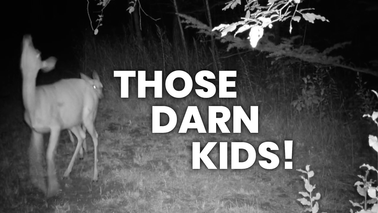 Those Darn Kids! Hilarious & Heartwarming Animal Mom Moments