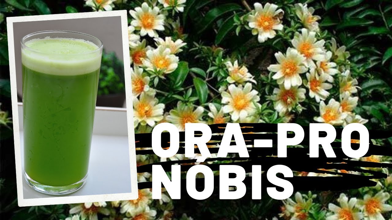 QUAIS OS BENEF&Iacute;CIOS DA ORA-PRO-NOBIS PARA A SUA SA&Uacute;DE