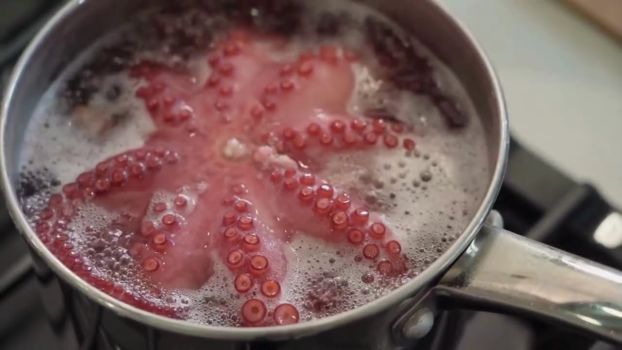 Octopus: The Genius of the Ocean