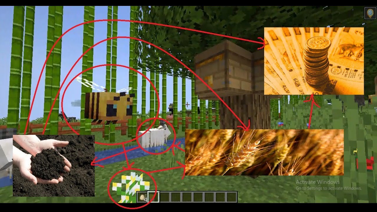 Farm Idea | The plan for tomorrow's nature friendly Farms [SANAM S4 CHANGE MAKERS] @Sannam S4 Group