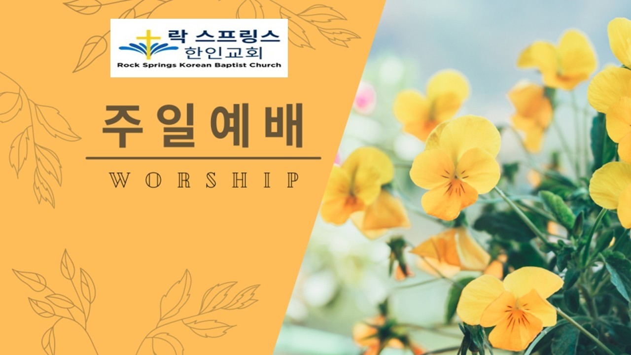 [2026년 3월 15일  주일 2부 예배] 복음의 외침으로 임하는 하나님의 나라 - 이재위 목사