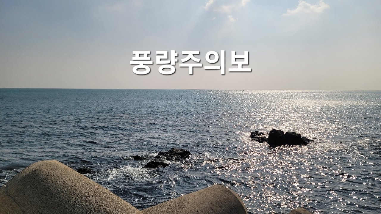 기상악화로👉쏠채만들기👈소통방송 #학꽁치낚시 #fishing