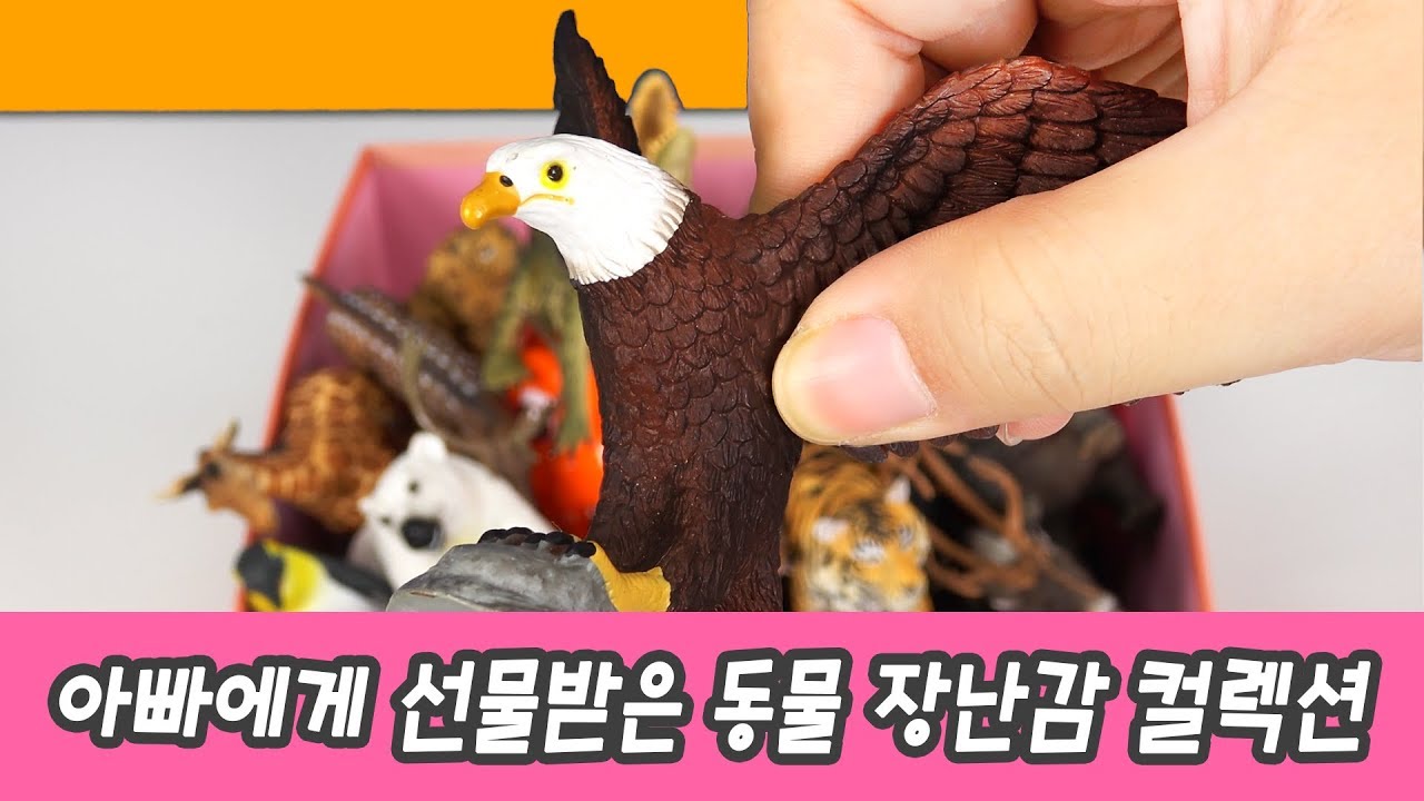 한국어ㅣ아빠에게 선물받은 동물 장난감 컬렉션!, 어린이 동물 만화, 동물 이름 외우기ㅣ꼬꼬스토이