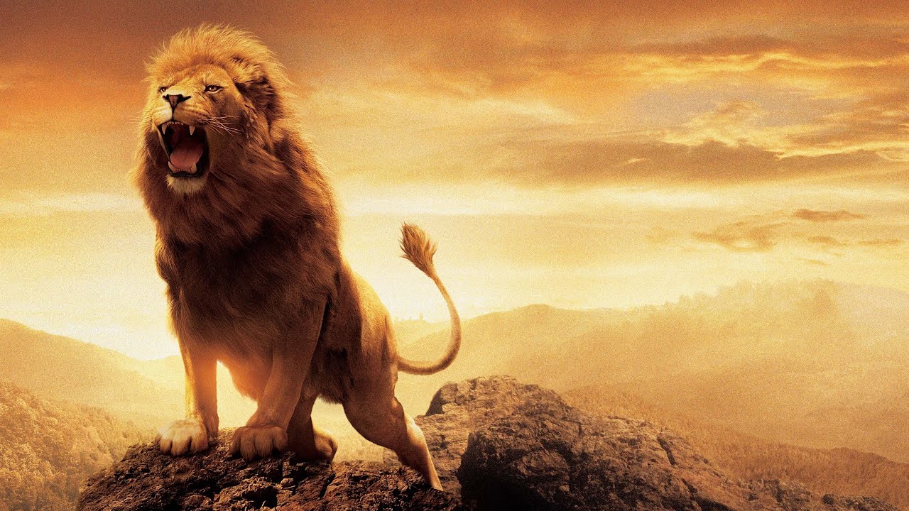 QUE RUJA EL LEON - Ccint Music  (LETRA)