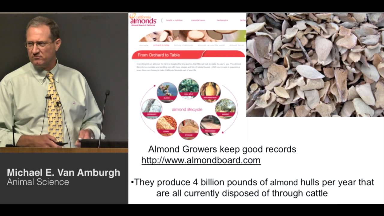 Food for the Future: A Discussion with Cornell Researchers