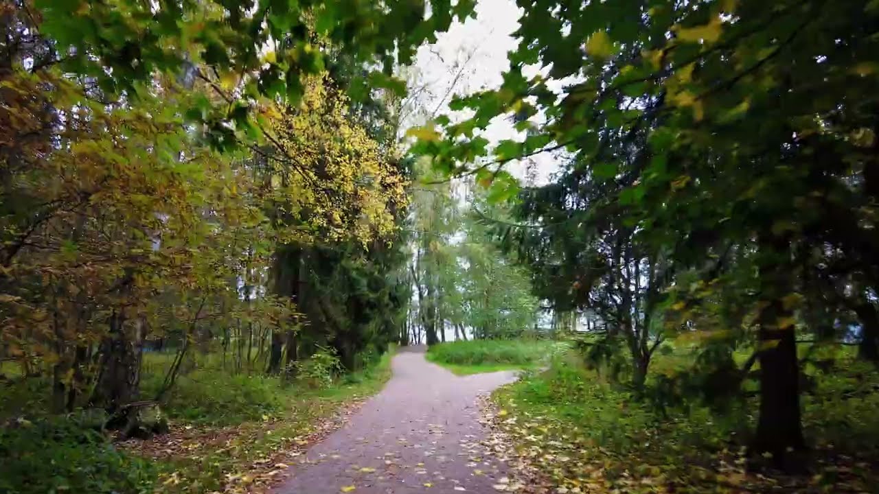 A Quiet Park Walk in Helsinki Finland 4K with Nature Sounds